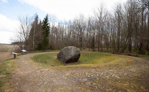 16_Šilalės archeologinis kompleksas 1 (1).jpg